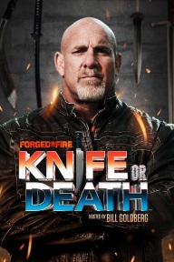 Forged.in.Fire.Knife.or.Death.S02E16.720p.WEB.h264-TBS – 787.6 MB