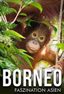 Borneo.The.Fascination.of.Asia.2017.2160p.UHD.BluRay.REMUX.SDR.HEVC.DTS-HD.MA.5.1-EPSiLON – 32.9 GB