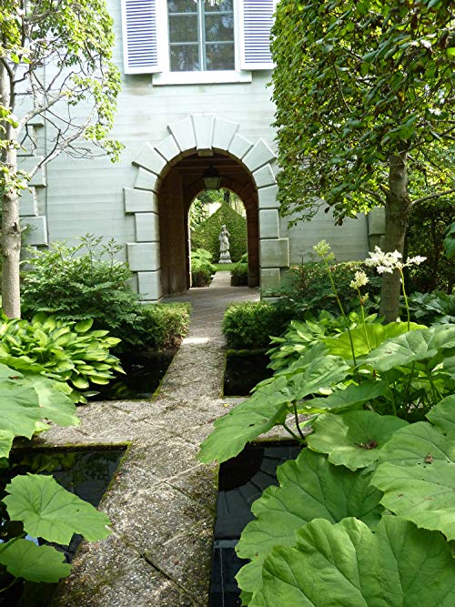 The.Gardener.2016.LiMiTED.1080p.BluRay.x264-CADAVER – 6.6 GB