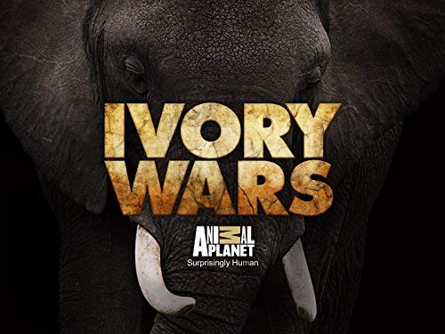 Ivory.Wars.S01.1080p.WEB-DL.H264-iFLiX – 6.0 GB