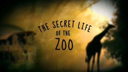 Secrets.of.the.Zoo.S01.1080p.Hulu.WEB-DL.AAC2.0.H.264-QOQ – 11.0 GB
