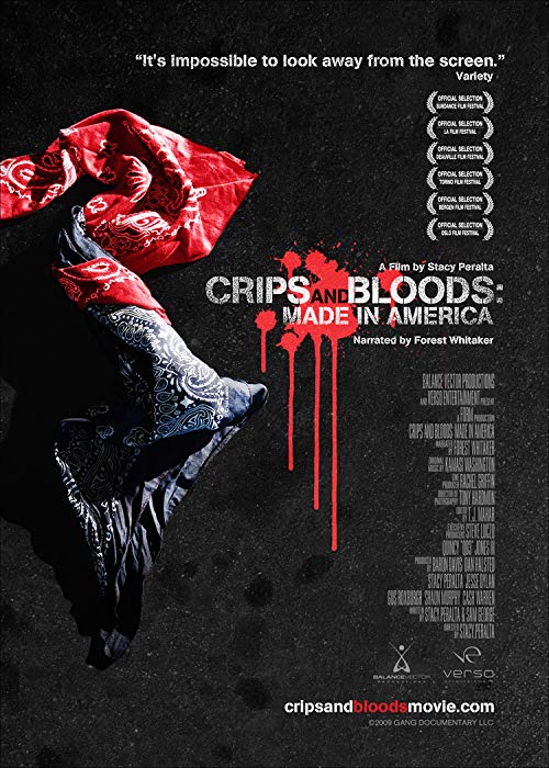 Crips.And.Bloods.Made.In.America.2008.1080p.AMZN.WEB-DL.DD5.1.H.264-QOQ – 6.6 GB