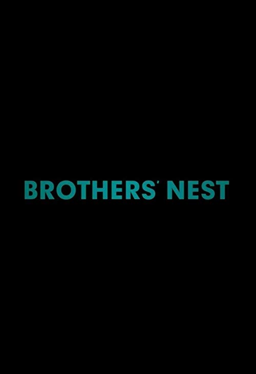 Brothers.Nest.2018.720p.WEB-DL.X264.AC3-EVO – 2.4 GB