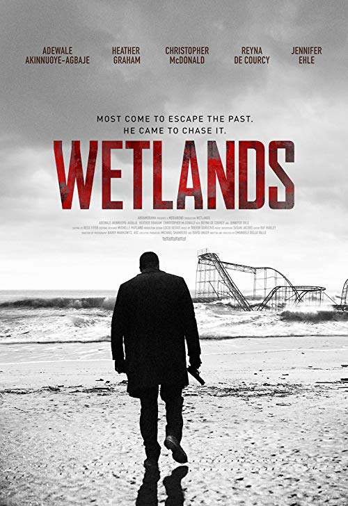 Wetlands.2017.1080p.WEB-DL.DD5.1.H264-CMRG – 3.4 GB
