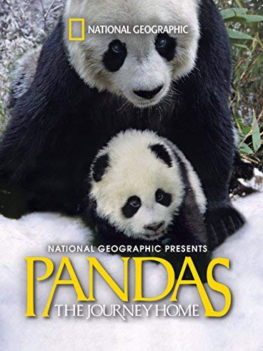 Pandas.The.Journey.Home.2014.1080p.BluRay.REMUX.AVC.DTS-HD.MA.5.1-EPSiLON – 7.6 GB