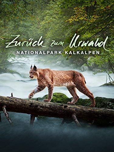 Zuruck.zum.Urwald.Nationalpark.Kalkalpen.2015.UHD.BluRay.2160p.DTS-HD.MA.5.1.HEVC.REMUX-FraMeSToR – 25.6 GB