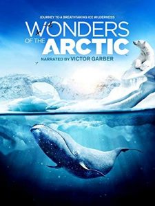 Wonders.of.the.Arctic.2014.HDR.UHD.BluRay.2160p.TrueHD.Atmos.7.1.HEVC.REMUX-FraMeSToR – 16.1 GB