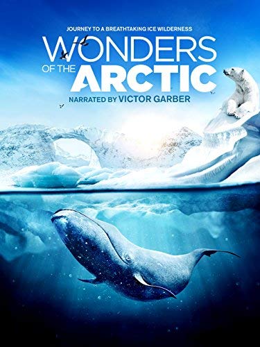 Wonders.of.the.Arctic.2014.HDR.UHD.BluRay.2160p.TrueHD.Atmos.7.1.HEVC.REMUX-FraMeSToR – 16.1 GB