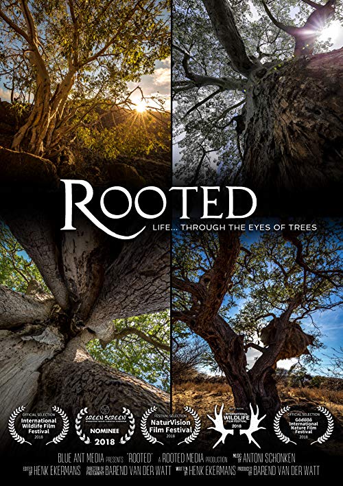 Rooted.Life.Through.The.Eyes.of.Trees.S01.1080p.AMZN.WEB-DL.DDP2.0.H.264-NTb – 12.0 GB