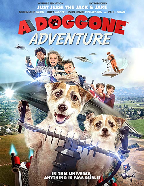 A.Doggone.Adventure..2018.720p.WEB-DL.DD5.1.H264-CMRG – 2.6 GB