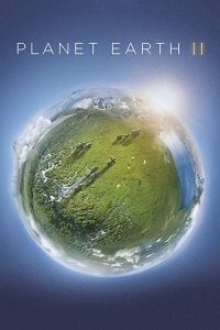 Planet.Earth.II.2016.S01.Repack.UHD.BluRay.2160p.DTS-HD.MA.5.1.HEVC.REMUX-FraMeSToR – 99.1 GB
