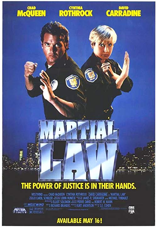 Martial.Law.1990.1080p.BluRay.REMUX.AVC.DD.2.0-EPSiLON – 17.2 GB
