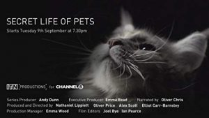 The.Secret.Life.of.Pets.S01.1080p.WEB-DL.AAC2.0.x264-BOOP – 5.4 GB