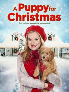 A.Puppy.for.Christmas.2016.1080p.WEB-DL.DD5.1.H.264.CRO-DIAMOND – 2.4 GB