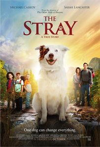 The.Stray.2017.BluRay.1080p.DTS-HD.MA.5.1.AVC.REMUX-FraMeSToR – 25.1 GB