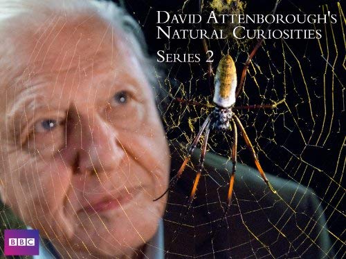 David.Attenborough’s.Natural.Curiosities.S03.1080p.AMZN.WEBRip.DD+2.0.x264-Cinefeel – 9.4 GB