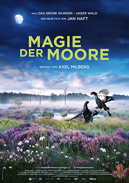 Magie.der.Moore.2015.1080p.BluRay.DTS.x264-TayTO – 12.4 GB