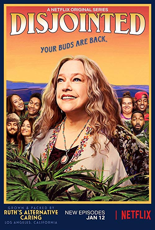 Disjointed.S01.Part.1.1080p.NF.WEB-DL.DD5.1.x264-NTb – 12.8 GB