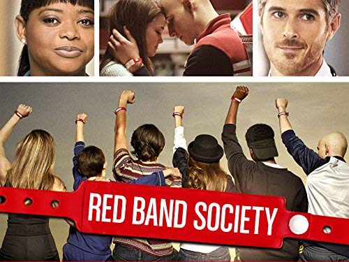 Red.Band.Society.S01.1080p.WEB-DL.DD5.1.H.264-NTb – 21.6 GB