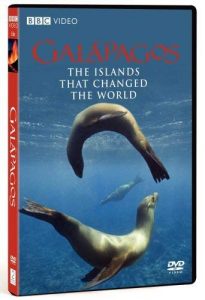 Galápagos.S01.2007.1080p.BluRay.x264-HANDJOB – 12.6 GB