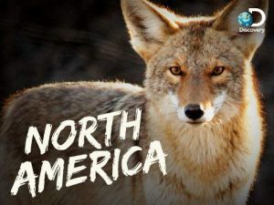 North.America.S01.1080p.WEB-DL.AAC.2.0.H.264-NTb – 12.1 GB