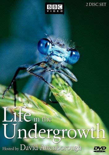 Life.in.the.Undergrowth.S01.720p.WebRip – 4.9 GB