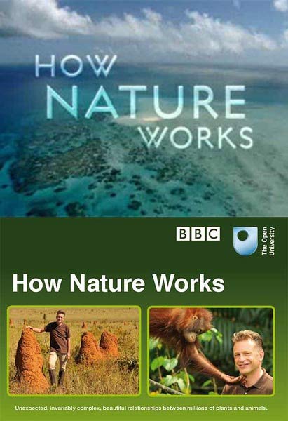 How Nature Works: Jungle