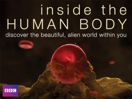 Inside.the.Human.Body.S01.720p.BluRay-DON – 7.8 GB