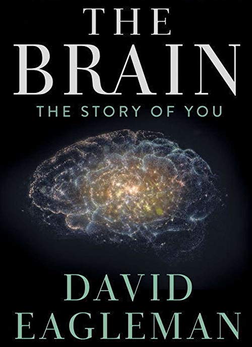 The Brain with Dr. David Eagleman