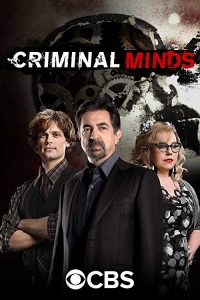 Criminal.Minds.S13.720p.AMZN.WEBRip.DDP5.1.x264-NTb – 39.2 GB
