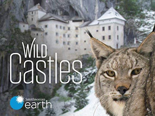 Wild Castles