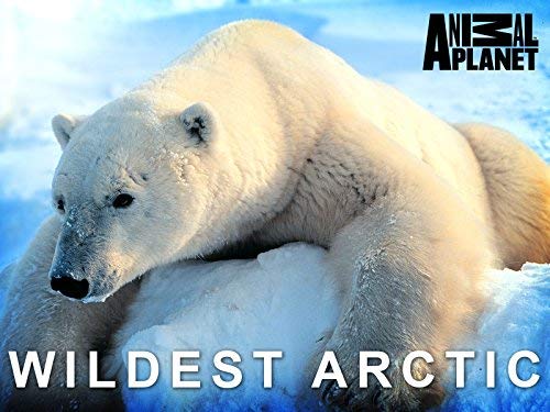 Wildest Arctic