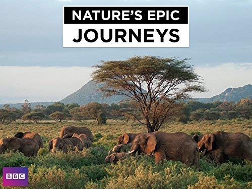 Nature's Epic Journeys