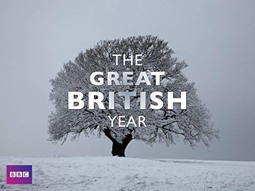 The.Great.British.Year.S01.720p.WEBRip.AAC2.0.h.264-BTN – 3.7 GB