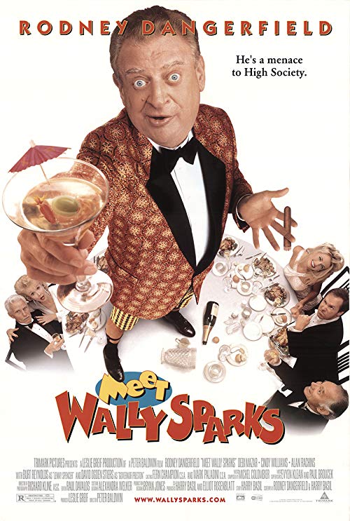 Meet.Wally.Sparks.1997.1080p.AMZN.WEB-DL.DD+5.1.H.264-SiGMA – 10.9 GB