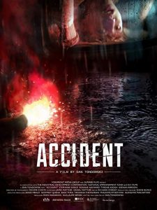 Accident.2017.BluRay.1080p.DTS-HD.MA.5.1.AVC.REMUX-FraMeSToR – 16.0 GB