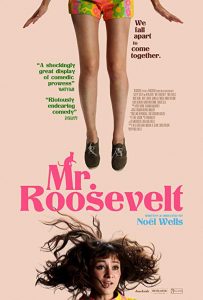 Mr.Roosevelt.2017.1080p.Netflix.WEB-DL.DD5.1.x264-QOQ – 4.7 GB