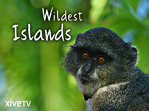 Wildest.Islands.S02.1080p.AMZN.WEB-DL.DD+2.0.H.264-QOQ – 23.0 GB