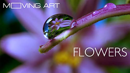 Moving Art: Flowers