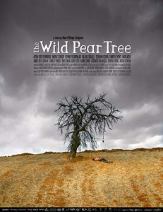 The.Wild.Pear.Tree.2018.BluRay.720p.DTS.x264-CHD – 7.5 GB