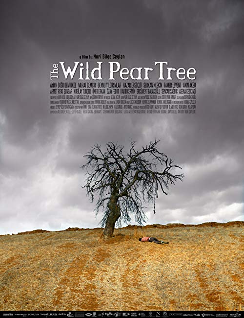 The.Wild.Pear.Tree.2018.720p.BluRay.DD5.1.x264-Dariush – 7.1 GB
