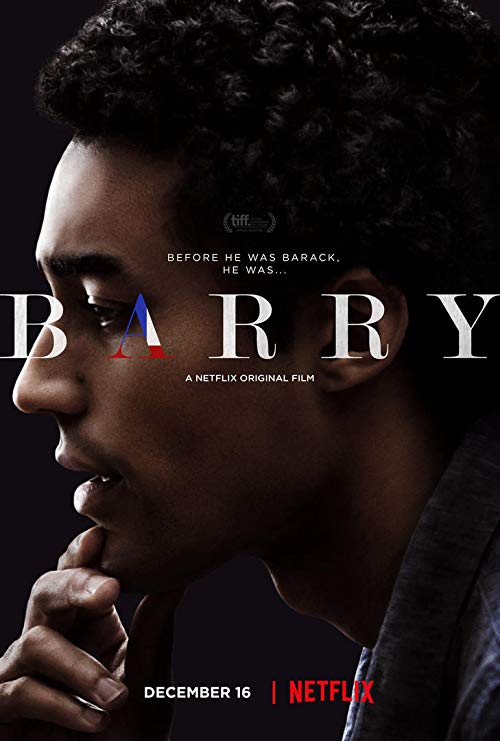 Barry.2016.1080p.Netflix.WEB-DL.DD5.1.x264-QOQ [3.1 GB]