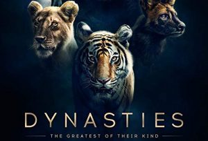 Dynasties.UK.S01.1080p.BluRay.x264-SHORTBREHD – 21.9 GB