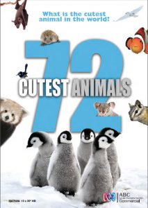72.Cutest.Animals.S01.720p.1080p.NF.WEB-DL.DDP2.0.H.264-MZABI – 12.0 GB