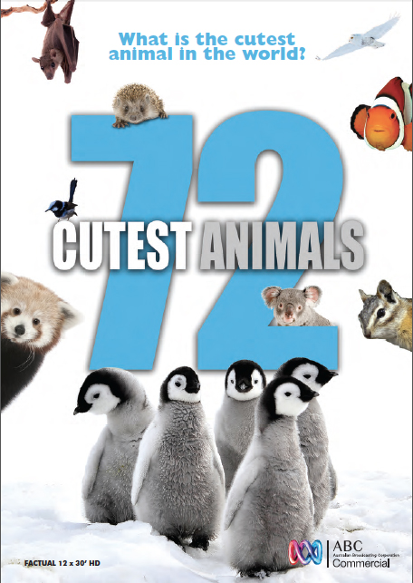 72.Cutest.Animals.S01.720p.1080p.NF.WEB-DL.DDP2.0.H.264-MZABI – 12.0 GB