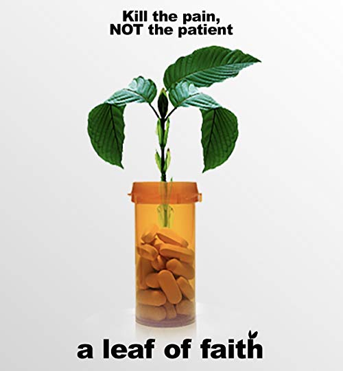 A.Leaf.of.Faith.2018.1080p.NF.WEB-DL.DDP2.0.x264-NTG – 4.0 GB