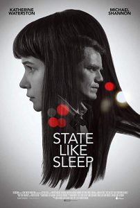 State.Like.Sleep.2019.1080p.WEB-DL.H264.AC3-EVO – 3.6 GB