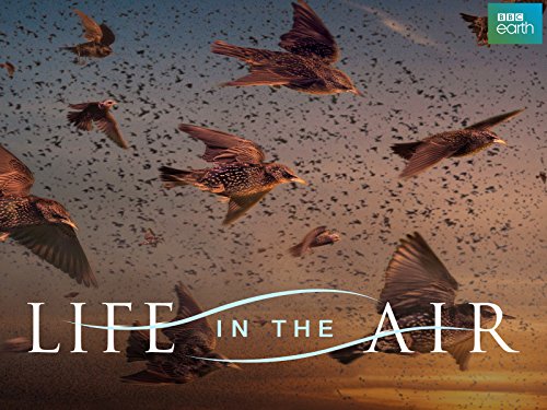 Life.in.the.Air.S01.720p.iP.WEBRip.AAC2.0.H.264-RTN – 2.9 GB