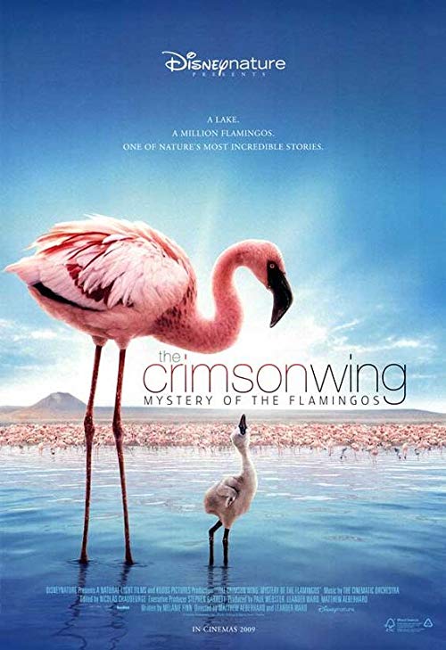 The.Crimson.Wing.Mystery.of.the.Flamingos.2008.1080p.BluRay.REMUX.AVC.DTS-HD.MA.5.1-EPSiLON – 16.7 GB