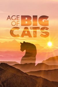 Age.Of.Big.Cats.S01.1080p.WEB-DL.x264-iFX – 8.6 GB